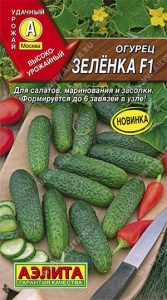 56444