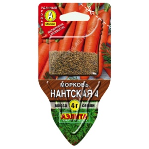 53374