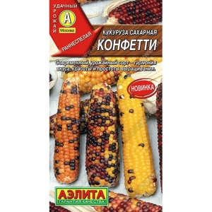 55469
