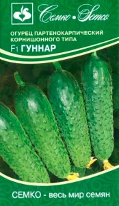 52552