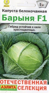 56264