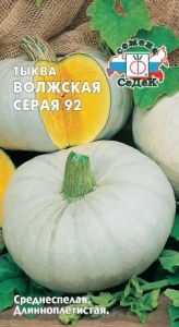 53662