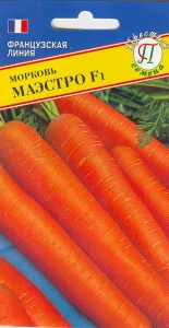 53883