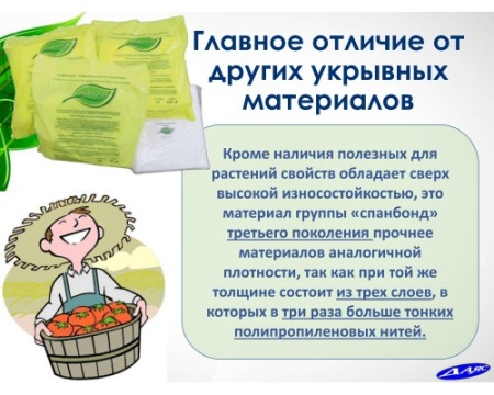 Райфенхаузер 60 (укрывной нетканый материал) (4,2х8м)