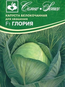 51736