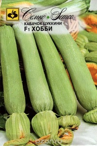 55744