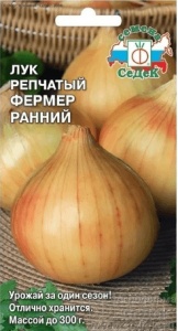 53548
