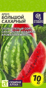 55394