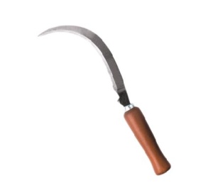 2798