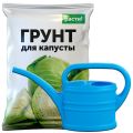 Дача и сад