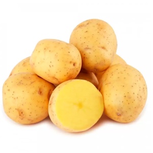 51181