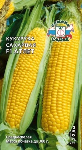 52749
