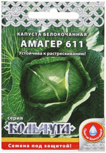 54534