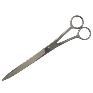5006