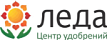 Леда