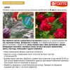 Bona Forte (фл.750мл) спрей от тли, паутинного клеща и других 50 видов насекомых