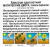 Алиссум Магические цвета, смесь 0,03г (Аэлита)