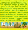 Баклажан Мраморный 0,1г (Аэлита)