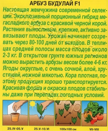 Арбуз Будулай F1 5шт. (Аэлита)
