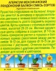 Агератум Лондонский балкон (смесь сортов) 0,05г (Аэлита)