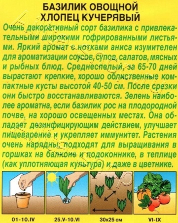 Базилик овощной Хлопец кучерявый 0,2г (Аэлита)