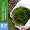 Агротекс 100 (спанбонд) (3,2х100м)