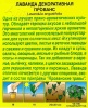Лаванда Прованс 0,1г (Аэлита)